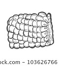 Doodle outline corn piece. Vector hand-drawn illustration for packing isolated on transparent background 103626766