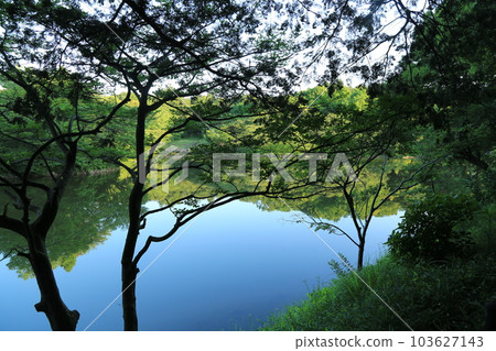 I walked in Mitsuike Park I walked in Mitsuike Park 103627143
