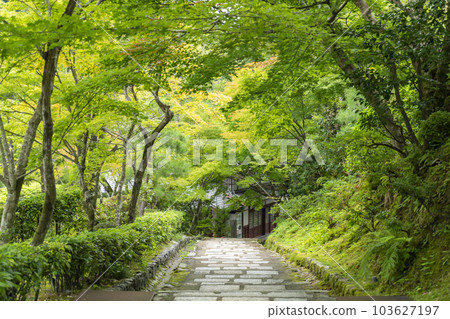 Adashino Nenbutsuji Temple approach 103627197