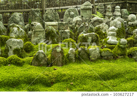 Stone Buddha at Nenbutsu-ji Temple in Adashino 103627217