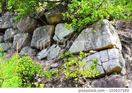 [Nationally Designated Historic Site] [Japan's Top 100 Castles Continued] Hiketa Castle Ruins 103627569