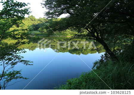 我在三池公園散步 103628125