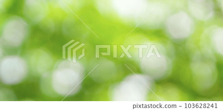 鬱鬱蔥蔥的大自然中的圓形散景背景材料。森林、自然、環境、陽光透過樹葉過濾等背景 鬱鬱蔥蔥的大自然中的圓形散景背景材料。森林、自然、環境、陽光透過樹葉過濾等背景 103628241