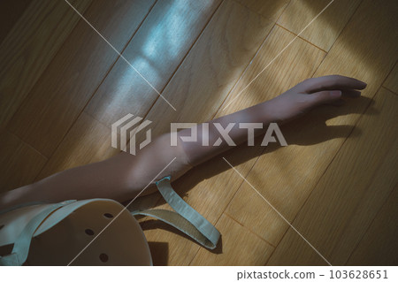 觀賞植物 裝飾品 室內 103628651