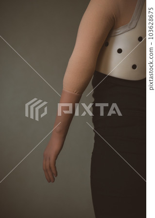 觀賞植物 裝飾品 女生 103628675