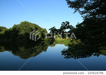 我在三池公園散步 我在三池公園散步 103628796
