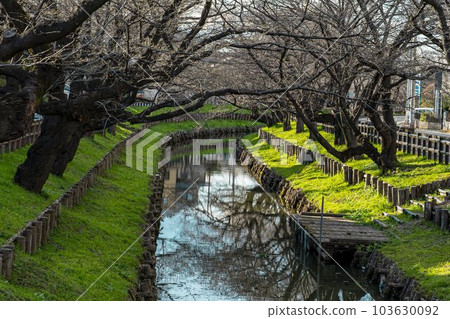 Spring riverbed 103630092