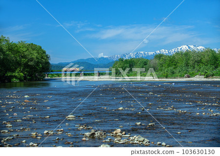 Flower Nagai Line 103630130