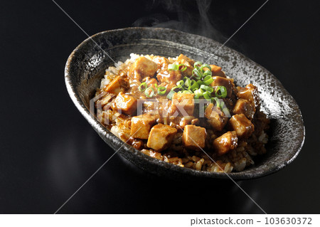 黑色背景中放著大量小蔥和豆腐的辣麻婆豆腐飯碗 103630372