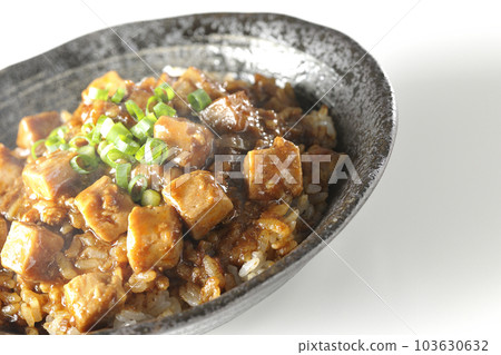 白背景下放著大量小蔥和豆腐的辣麻婆豆腐飯碗 白背景下放著大量小蔥和豆腐的辣麻婆豆腐飯碗 103630632