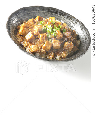 Spicy mapo tofu rice bowl with plenty of small green onions and tofu shot against a white background Spicy mapo tofu rice bowl with plenty of small green onions and tofu shot against a white background 103630645