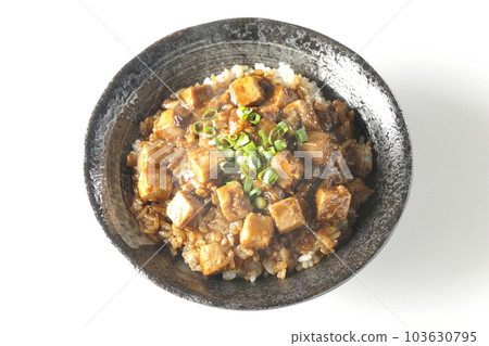 A bird's-eye view of a spicy mapo tofu bowl with plenty of small onions and tofu on a white background A bird's-eye view of a spicy mapo tofu bowl with plenty of small onions and tofu on a white background 103630795