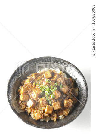 鳥瞰白色背景上有大量小洋蔥和豆腐的辣麻婆豆腐碗 鳥瞰白色背景上有大量小洋蔥和豆腐的辣麻婆豆腐碗 103630805
