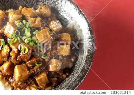 鳥瞰滿滿的小洋蔥和豆腐的熱麻婆豆腐碗 鳥瞰滿滿的小洋蔥和豆腐的熱麻婆豆腐碗 103631214