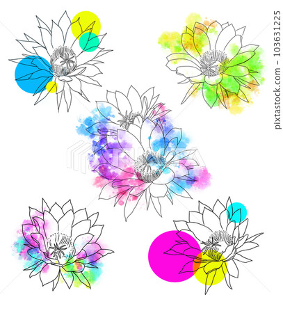 cactus flower simple illustration design 103631225