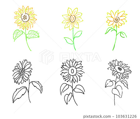 向日葵插畫設計塗鴉風格 向日葵插畫設計塗鴉風格 103631226