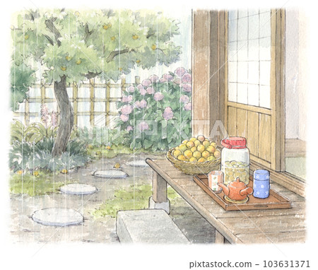 雨季日本民宅的門廊（在花園裡採摘梅子） 103631371