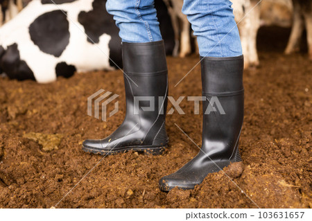 Farmer feet in rubber black boots closeup Farmer feet in rubber black boots closeup 103631657