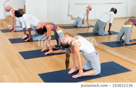 Group of man and woman exercising during yoga class Group of man and woman exercising during yoga class 103632136