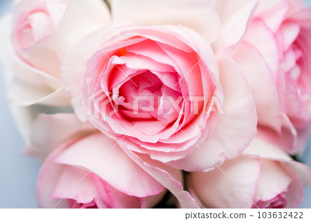 Top view of Pierre De Ronsand on white wooden table background. 103632422