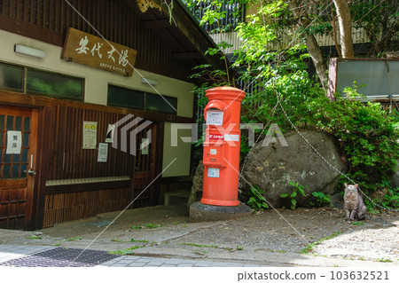 Hot spring town public bath 103632521