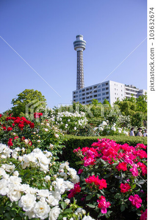 紅白玫瑰和海洋塔花園項鍊橫濱 2023 年玫瑰週 紅白玫瑰和海洋塔花園項鍊橫濱 2023 年玫瑰週 103632674