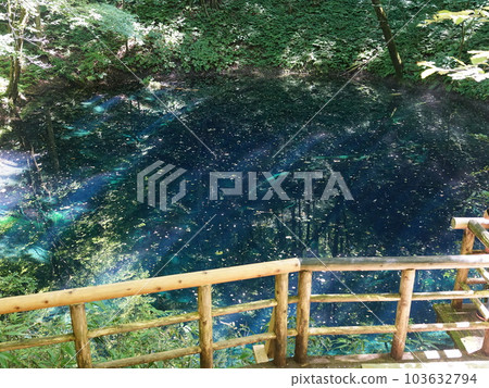 十二子風景 十二子風景 103632794