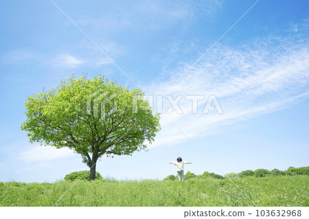A child standing with his hands outstretched in a field with a lone tree on a sunny day 103632968