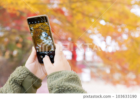 Elementary school student taking a picture of autumn leaves with a smartphone Elementary school student taking a picture of autumn leaves with a smartphone 103633190