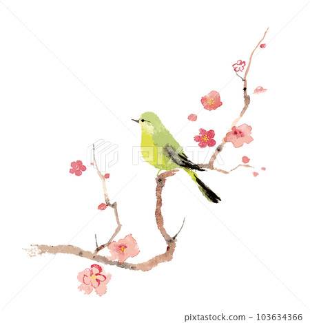 棲息在李樹枝上的灌木鶯 103634366