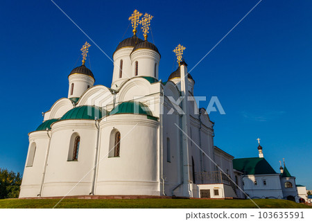 Transfiguration cathedral in Transfiguration monastery in Murom, Russia 103635591