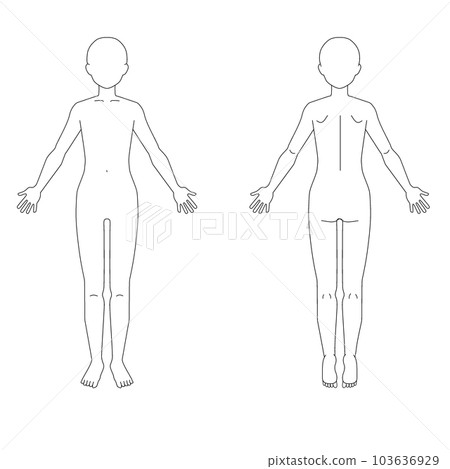 Whole body schema diagram No face - Stock Illustration [103636929] - PIXTA