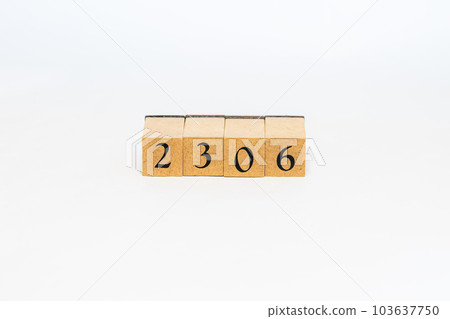 木塊編號 2306 103637750