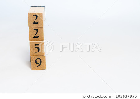 木塊編號 2259 103637959