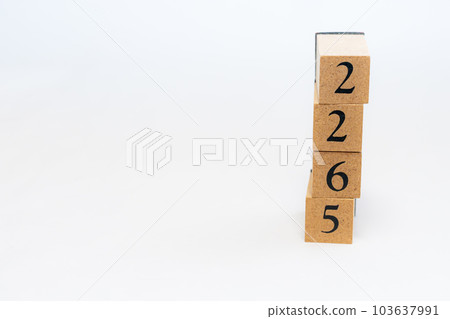 木塊編號 2265 103637991