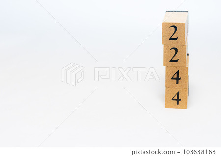 木塊編號 2244 103638163