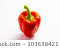 辣椒粉白色背景 103638421