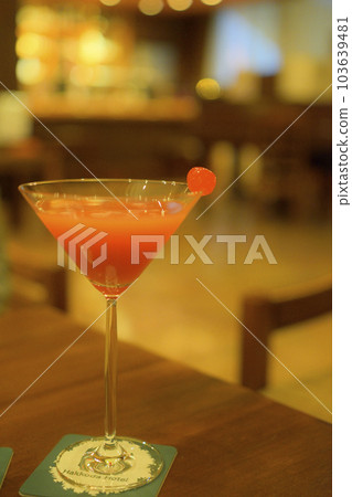 Cocktails at the Hakkoda Hotel bar 103639481