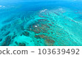 Aerial photo of the sea in Okinawa 103639492