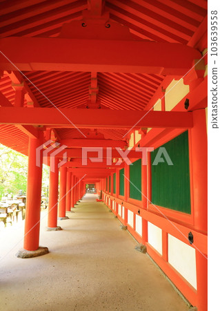 World Heritage Kasuga Taisha West Corridor World Heritage Kasuga Taisha West Corridor 103639558