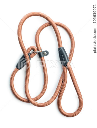 Nylon pet leash isolated on white background. Nylon pet leash isolated on white background. 103639971