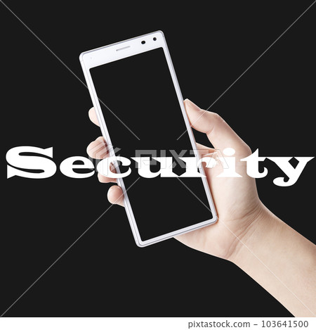 Mobile phone_security 103641500
