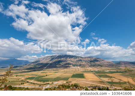 Agricultural fields in Albania 103641606