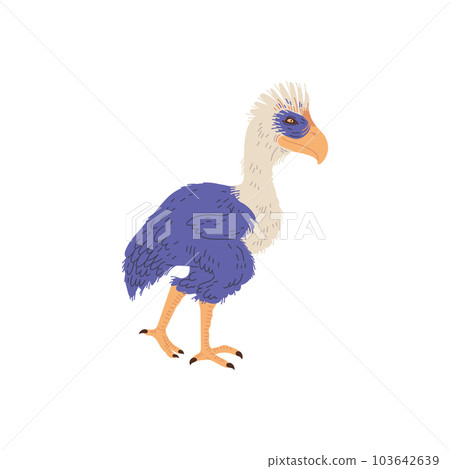 Vector illustration of Fororakos, a family of extinct flightless giant birds of prey, isolated on white background Vector illustration of Fororakos, a family of extinct flightless giant birds of prey, isolated on white background 103642639