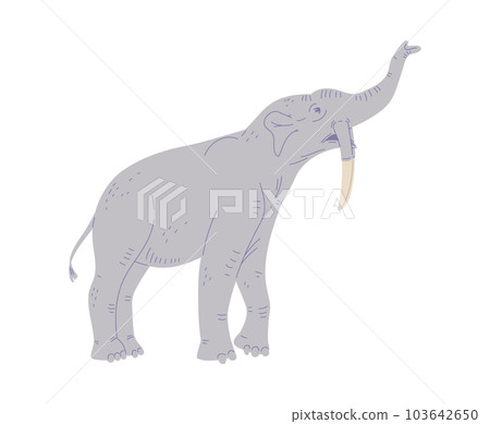Deinotherium elephant, flat vector illustration isolated on white background. Deinotherium elephant, flat vector illustration isolated on white background. 103642650