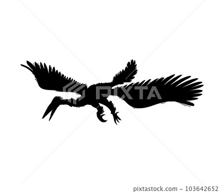 Enantiornis dinosaur, black silhouette icon, vector illustration isolated on white background. 103642652