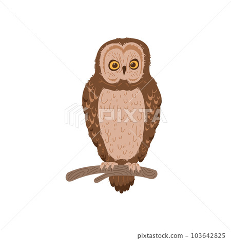 Owl or owlet nocturnal forest bird sitting on tree branch, flat vector isolated. Owl or owlet nocturnal forest bird sitting on tree branch, flat vector isolated. 103642825