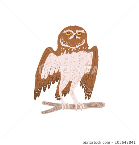 Owl wild bird and symbol of wisdom and knowledge, vector illustration isolated. Owl wild bird and symbol of wisdom and knowledge, vector illustration isolated. 103642841