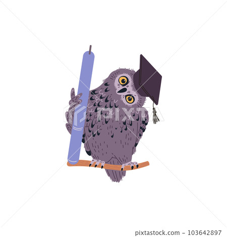 Vector isolated illustration of funny owl with a graduation cap on his head holds a pen and sits on a branch Vector isolated illustration of funny owl with a graduation cap on his head holds a pen and sits on a branch 103642897