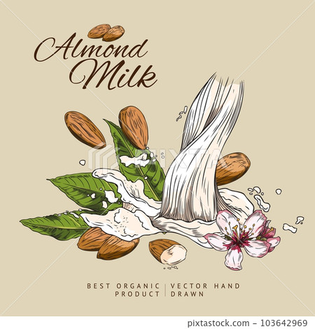 Squared banner about almond milk sketch style, vector illustration 103642969